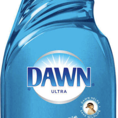 Dawn Dish Soap 90 oz